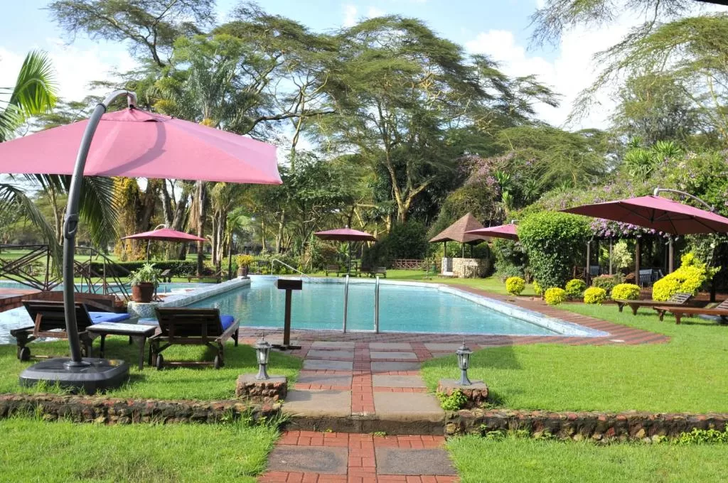 Kenya Tanzania Safari Tour Package