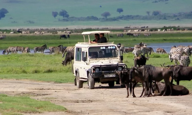 Masai Mara and Serengeti Safari