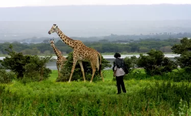 Small group safari Kenya and Tanzania