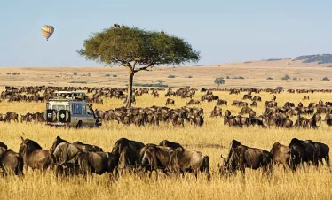 Kenya Tanzania Safari Tour Package