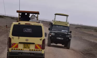 Kenya safari package from Diani Beach