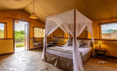 Affordable safari from Mombasa