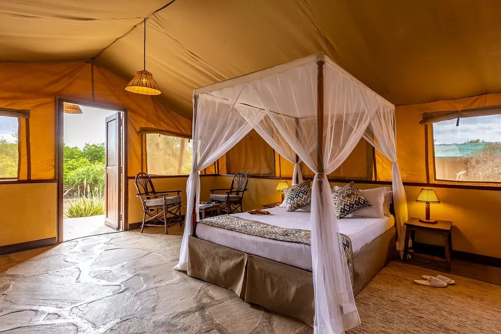 Affordable safari from Mombasa