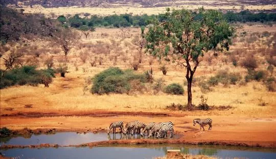 3-day Kenya safari