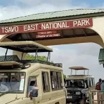 Diani to Tsavo East Safari Package