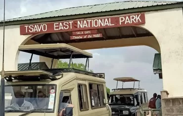 Diani to Tsavo East Safari Package