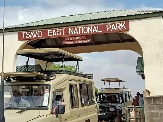 Diani to Tsavo East Safari Package