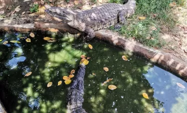 things to do in Diani Beach