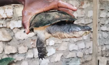 Half-day tour from Diani Beach