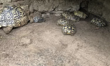 Best places to visit in Ukunda