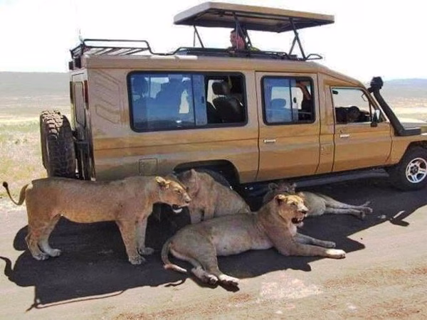 4x4 safari vehicle on red-dust road in Tsavo East National Park on a short Kenya safari