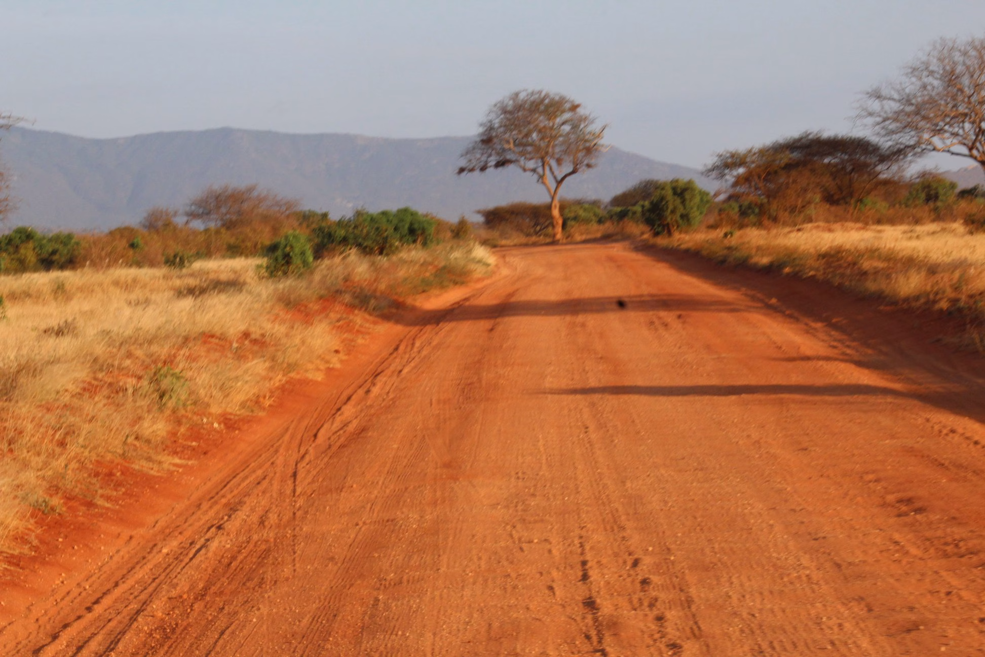 Panoramic view of Tsavo East National Park with red earth and open savannah