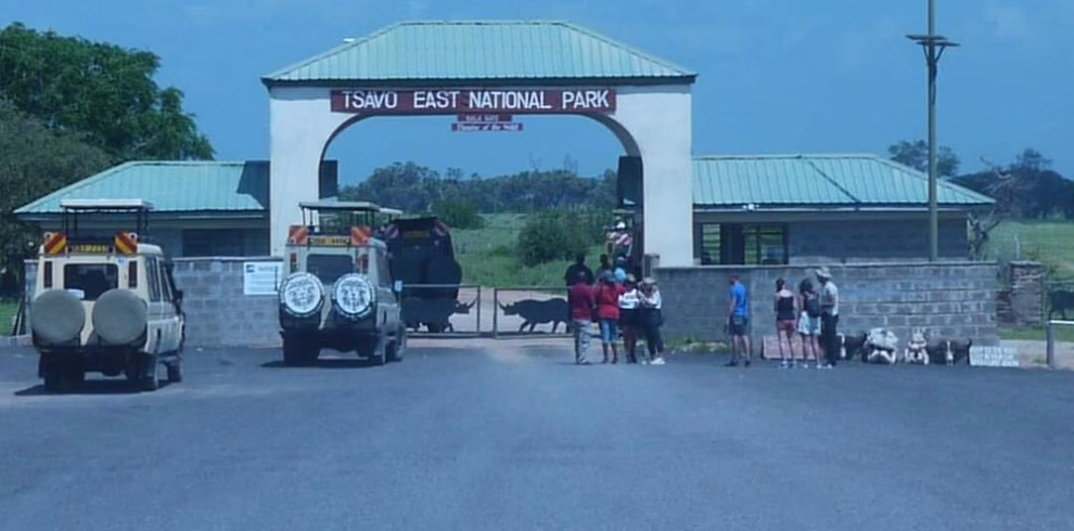 4x4 safari vehicle watching elephants at Aruba Dam in Tsavo East National Park during a 2-day safari from Diani Beach and Mombasa with stay at Ashnil Aruba Lodge
