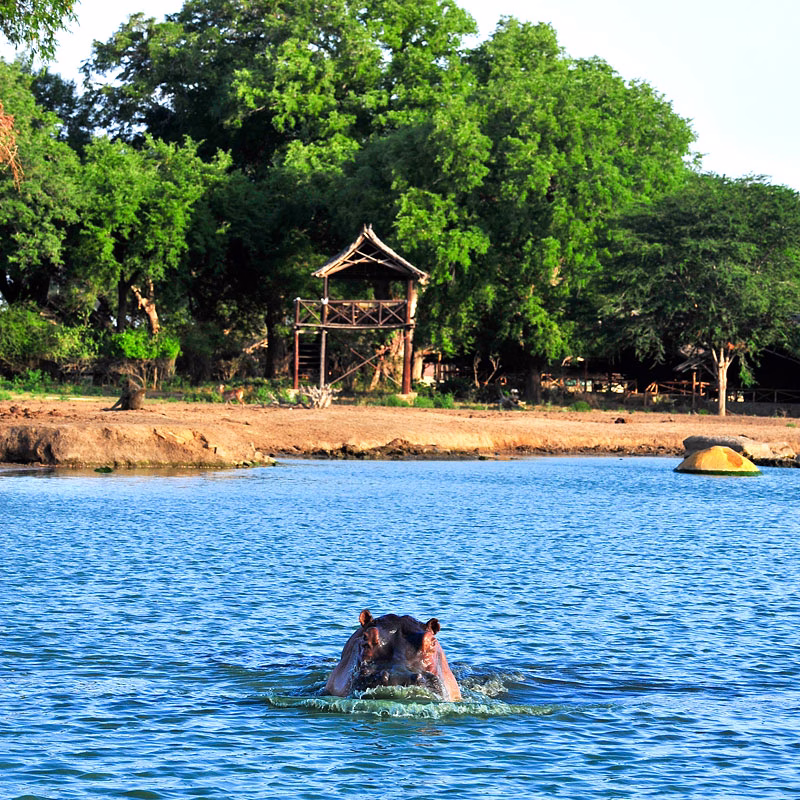 Night view of Satao Camp surrounded by nature in Tsavo East National Park