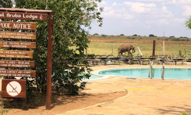 Swimming pool and relaxation area at Ashnil Aruba Lodge in Tsavo East