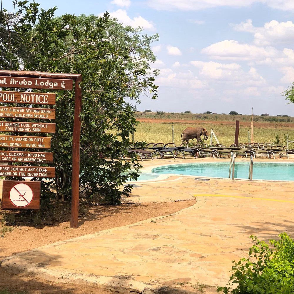 Swimming pool and relaxation area at Ashnil Aruba Lodge in Tsavo East