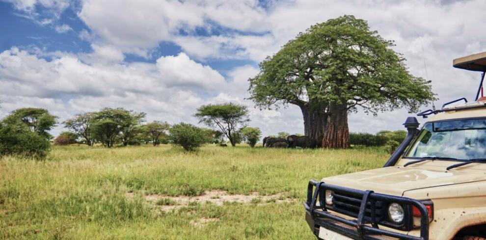 2 Days Tsavo East Safari from Diani Beach with game drives and luxury stay at Satao Camp