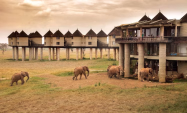 Diani Beach 3 Days Safari to Tsavo East and Saltlick Taita Hills