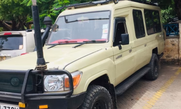 Best short safari from Diani to Tsavo East