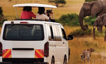 Coastal Kenya safari packages