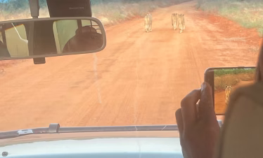Guests on a guided game drive in Tsavo East with a safari van and pop-up roof