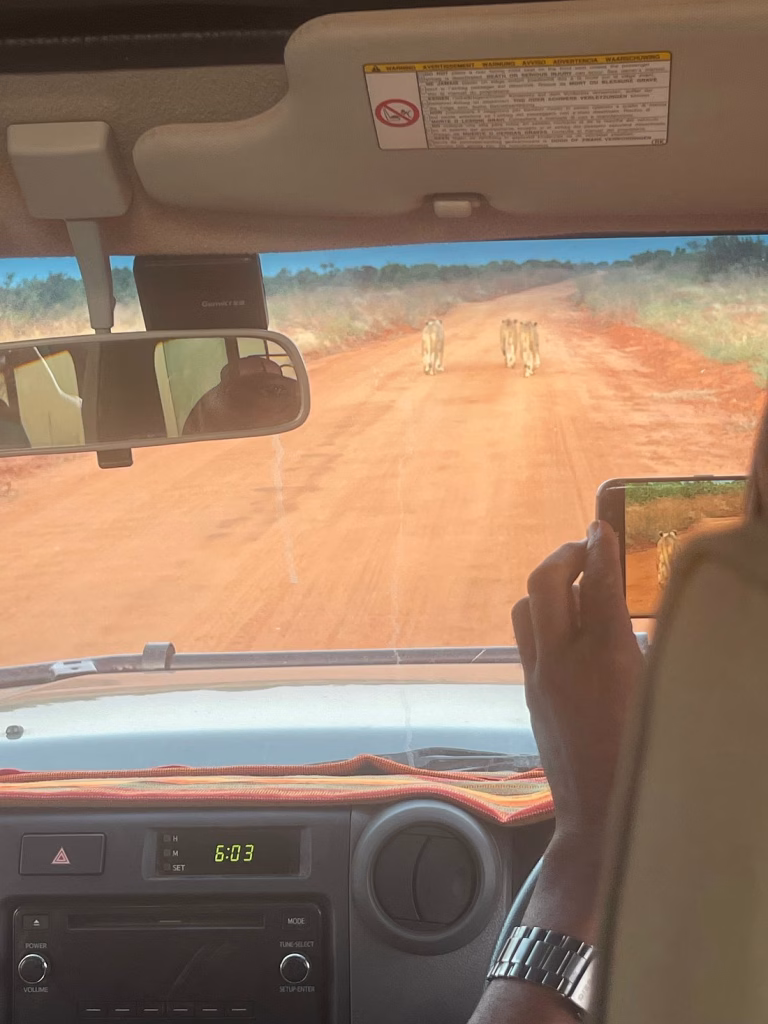 Guests on a guided game drive in Tsavo East with a safari van and pop-up roof