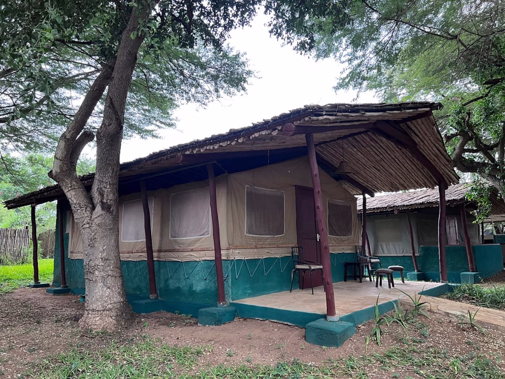 3 Days Tsavo East and Saltlick Safari from Diani Beach, Mombasa