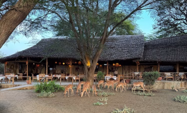 private guided Kenya safari