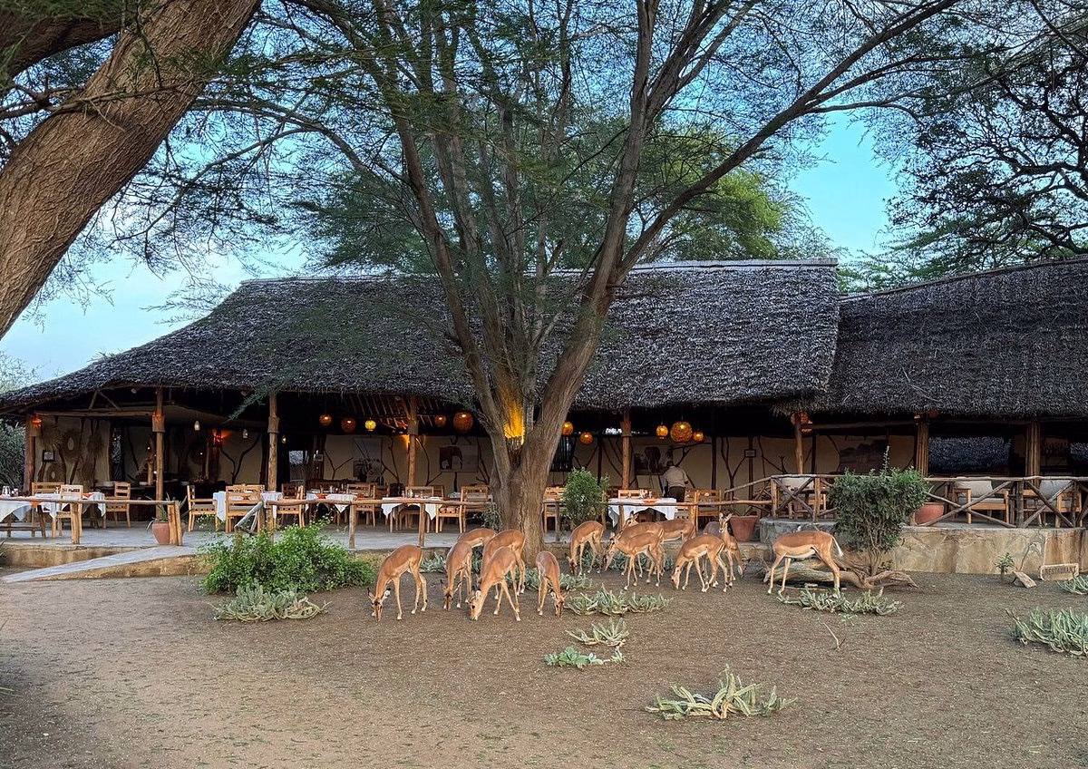 private guided Kenya safari