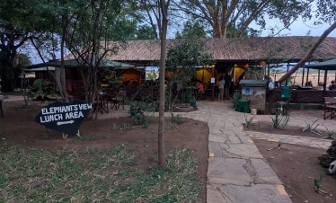 Short Kenya safaris for beach travelers