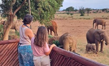 3 Days Tsavo East & Taita Hills Salt Lick Safari from Diani Beach or Mombasa