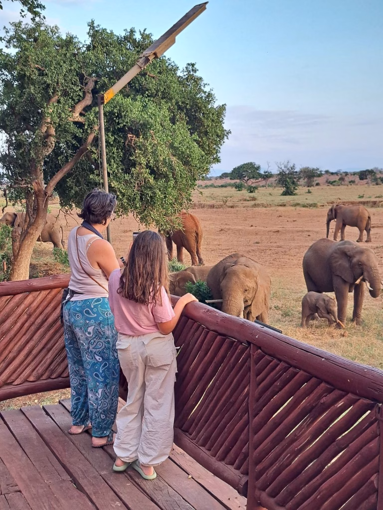 3 Days Tsavo East & Taita Hills Salt Lick Safari from Diani Beach or Mombasa