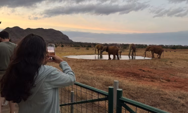 Short Kenya safari from Diani