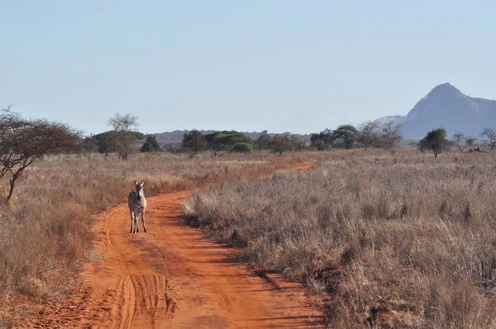 Tsavo and Taita safari itinerary