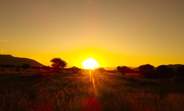 Golden African sunset over the savannah with safari vehicle silhouette