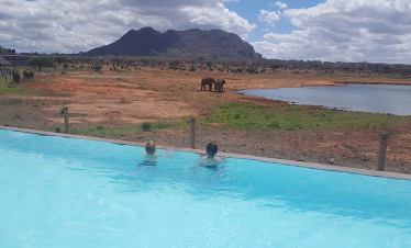 Wildlife safari tour with lodge stay in Tsavo East
