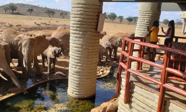 safari with luxury camps in Kenya