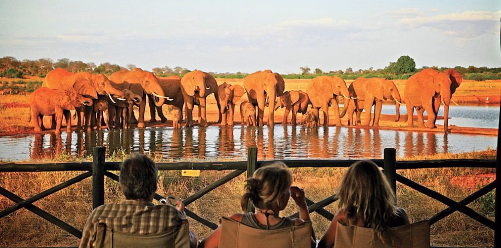 Tourists on game drive in Tsavo East National Park spotting elephants near Voi Wildlife Lodge during 2-day safari from Diani Beach