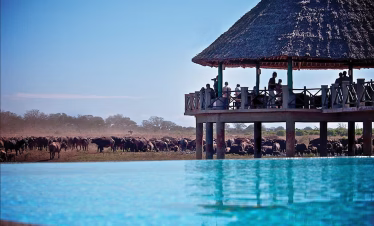 2-Day Safari from Diani Beach