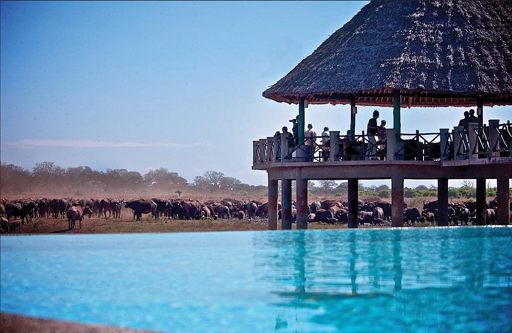 2-Day Safari from Diani Beach