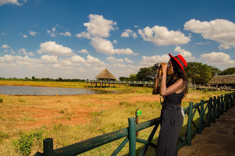 Safari from Mombasa