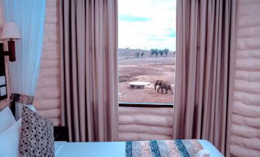 best Kenya safari from the coast