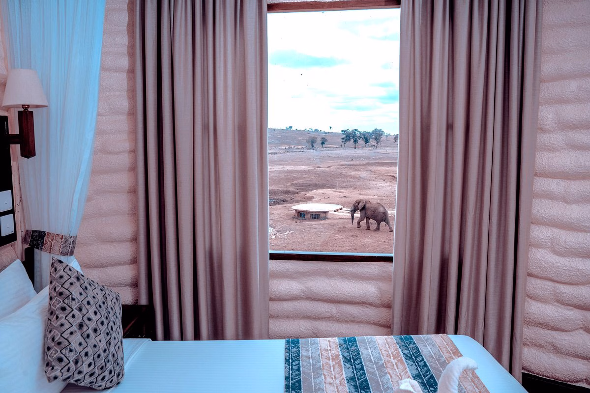 best Kenya safari from the coast