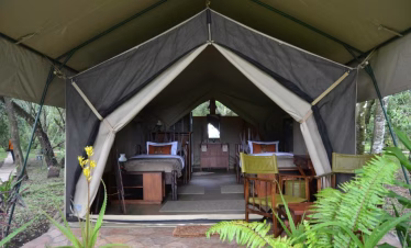 Diani Beach to Masai Mara Air Safari