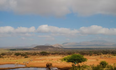 Tourists taking photos of elephants during a safari from Mombasa to Tsavo East