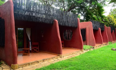 Safari with Mount Kilimanjaro views
