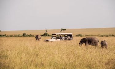 Masai Mara flying safari from Diani Beach or Mombasa