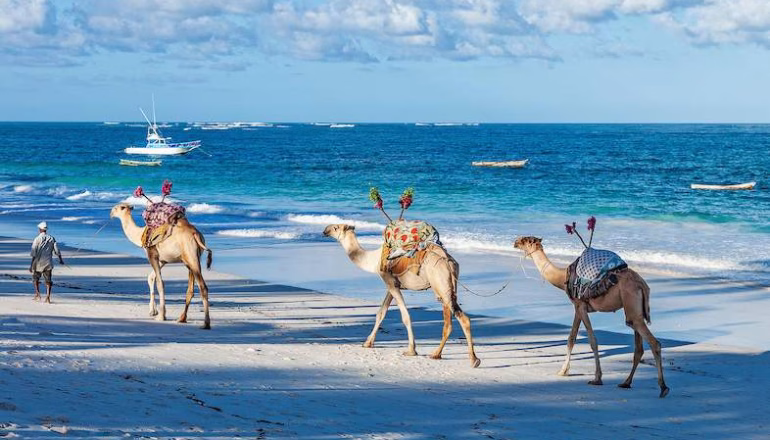 Diani Beach and Tour Packages