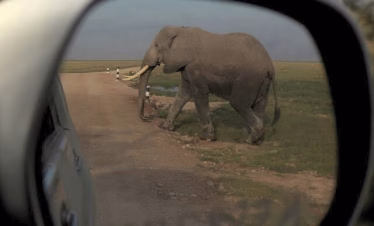 Romantic things to do in Diani Beach with family