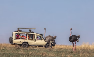 Best flying safari from Diani Beach to Masai Mara